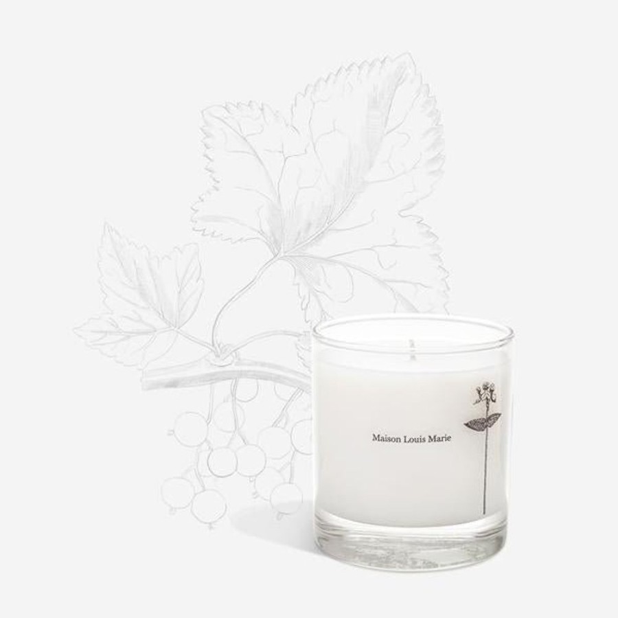 Home Fragrance HUNTER JONES | Maison Louis Marie Antidris Cassis Candle