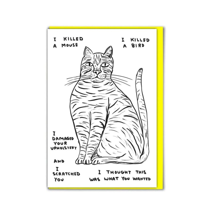 Lifestyle HUNTER JONES | Cat Card By David Shrigley